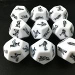 12 sides Dice Couple Love & Sex Foreplay Adult Game Funny Toy Set Party