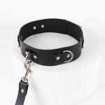 Complete BDSM Starter Kit with Anal Hook, Adjustable Neck Wrist Restraints & ...