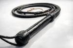 Handmade Leather Bullwhip 4 to 10 ft Long 8 Plaits  Indiana Jones Style Cracking