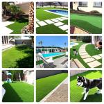 Petlezent 7'X13' / 5'X10' / 6'X8' Realistic Indoor/Outdoor Artificial Grass/Turf