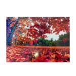 50Pcs  Sand Stars Holographic Sticker Paper 2.9×4.1 inch Glitter Clear Holographic Overlay Cold Laminating Film Self Adhesive