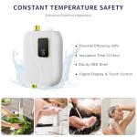 Tankless Water Heater Electric 110V, 3000W Instant Water Heater Under Sink, On Demand Hot Water Heater Electric with Digital Display, Electric Mini Water Heater for Kitchen Bathroom Washin