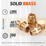 Ailbiuko 60pcs Brass Pipe Fittings Assortment Kit,Reducer Bushing,Hex Nipple,Reducing Hex Coupling,Hex Heand Plug,End Cap and Socket Plug Fitting Kit