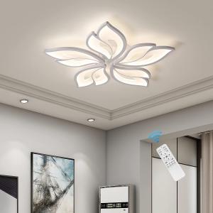 Modern LED Acrylic Ceiling Light Flush Mount Lamp Chandelier Living Room Remote