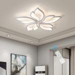 Modern LED Acrylic Ceiling Light Flush Mount Lamp Chandelier Living Room Remote