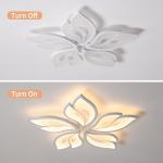 Modern LED Acrylic Ceiling Light Flush Mount Lamp Chandelier Living Room Remote