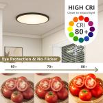 4 Pack 16 Inch 5CCT LED Ceiling Light Flush Mount Dimmable Fixture Black 3520LM
