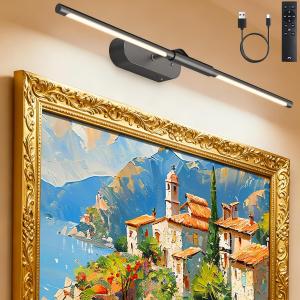 Wireless Picture Light for Wall: 24" Rechargeable Art Light with Remote & Timer,