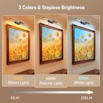 Wireless Picture Light for Wall: 24" Rechargeable Art Light with Remote & Timer,