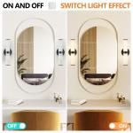 2 Pack Indoor Wall Light Resin Marble Texture LED Vanity Sconce Black Fixture