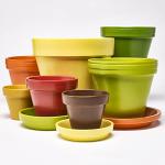 FolkArt Multi-Color Outdoor Rock Paint Set