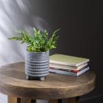 Rust-Oleum Stone Creations Gray Spray Paint, 12oz