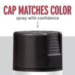 Black, Rust-Oleum Stops Rust Protective Enamel Flat Spray Paint-7776830, 12 oz