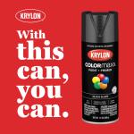 Krylon COLORmaxx Gloss Black Spray Paint and Primer, 12 oz