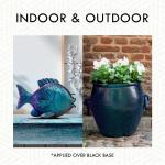 Blue Cosmos, Rust-Oleum Color Shift Spray Paint-372479, 11 oz