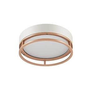 GLOBE Electric 66000038 18.5W LED Integrated Outdoor Indoor Flush Mount Ceiling Light Fixture, Matte White, Wood Toned Accent, Home Improvement, Front Porch Lighting