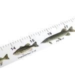 Ozark Trail Measuring Tape Sticker, 2-pack, Model KA6619