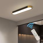 Garwarm Modern LED Flush Mount Ceiling Lights Dimmable LED Ceiling Lamp with Remote Control Acrylic Linear Ceiling Lighting Fixtures for Living Room Kitchen Foyer Bedroom (3000K-6500K)