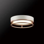 GLOBE Electric 66000038 18.5W LED Integrated Outdoor Indoor Flush Mount Ceiling Light Fixture, Matte White, Wood Toned Accent, Home Improvement, Front Porch Lighting