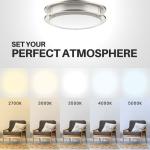 DYMOND 10" LED Ceiling Light Flush Mount Adjustable Color Temperature Dimmable Brushed Nickel Double Ring