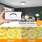 Hlite 12" LED Ceiling Light,3CCT Selectable Flush Mount Light,Ultra-Thin,Damp Rated Lighting Fixtures for Bedroom,Bathroom,Kitchen,Utility Room,Black