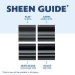 Clear, Rust-Oleum American Accents 2X Ultra Cover 5-in-1 Gloss Spray Paint-398805, 12 oz