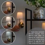 Sterling & Noble Cordless Brass Rechargeable Wall Sconce with Scalloped Fabric Shade and Remote