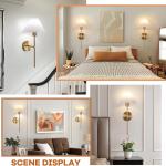 2 Pack Wall Sconces Battery Operated Wall Lights, Straight-Rod Wireless Charging Wall Lamp Shade with 2 Bulbs for Bedroom Living Room