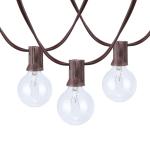 (2 pack) Better Homes & Gardens 20-Count G40 Clear Glass Globe Outdoor Patio String Lights
