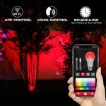 Monster Smart Outdoor Spotlight for Landscape Lighting with RGB & IC Flow, for Christmas, Halloween, Party, Gameday and More, 12V Adapter, 2-Pack