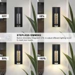 Rottogoon LED Wall Sconce Modern Porch Dimmable Light Fixture for Living Room Garage Stairway