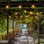 Better Homes & Gardens 24-Foot Outdoor Commercial String Lights, 12 Shatterproof LED Bulbs, Indoor/Outdoor Use