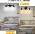 Bathroom Lights Fixtures 3 Light Vanity Lights Industrial Farmhouse Wall Mounted Mirror Wall Lights with Glass Cover Bathroom Vanity Lights