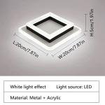 AUA LED Ceiling Light, 24W Modern Ceiling Lamp, LED Ceiling Lights for Bedroom Hallway Office Kitchen Living Room, Cold White 6500K