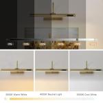 HARPER LIVING Picture Light for Wall Antique Brass, Rechargeable Picture Light with Remote, Dimmable & 3 Color Temps, Magnetic Battery Operated Wall Lights for Dartboard Frame Gallery