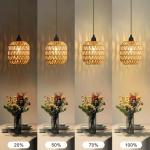 3 Pack Battery Powered Outdoor Pendant Light Dimmable Ceiling Light IP65 Battery Operated Hanging Lights Indoor with Remote Control Timer Portable Rattan Boho Lampshade Chandeliers for Gazebo Patios