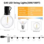 QIHANS Outdoor Garden String Lights Mains Powered, 100FT/30M Festoon Lights with Light Sensor Timer, 50+2 G40 Shatterproof Globe Bulbs, Waterproof Garden String Lights for Balcony Yard Patio Wedding