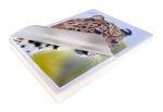 ProProd Premium A4 75/80mic, Glossy Laminating Pouch (Pack of 100), Packaging May vary