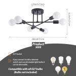 Dellemade Ceiling Light, 6-Lights Chandeliers Black Ceiling Light Fixture for Living Room,Bedroom,Kitchen (Black)