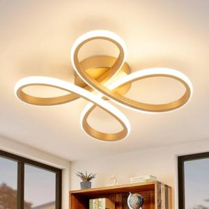 EIDISUNY Modern LED Ceiling Light, 30W Gold Ceiling Lights Fixture, Modern Ceiling Lights LED for Living Room Bedroom Corridor Aisle Hallway Balcony Garages Indoor Ceiling Lamp (Warm Light 3000K)
