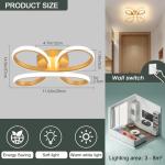 EIDISUNY Modern LED Ceiling Light, 30W Gold Ceiling Lights Fixture, Modern Ceiling Lights LED for Living Room Bedroom Corridor Aisle Hallway Balcony Garages Indoor Ceiling Lamp (Warm Light 3000K)