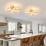 EIDISUNY Modern LED Ceiling Light, 30W Gold Ceiling Lights Fixture, Modern Ceiling Lights LED for Living Room Bedroom Corridor Aisle Hallway Balcony Garages Indoor Ceiling Lamp (Warm Light 3000K)