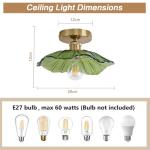 Dellemade Chandelier, Flush Mount Ceiling Light, Clear Glass Shade Light Fixture, 1 Light Lighting Fixture for Bedroom,Dining Room,Kitchen, Hallway (Green)