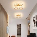 EIDISUNY Modern LED Ceiling Light, 30W Gold Ceiling Lights Fixture, Modern Ceiling Lights LED for Living Room Bedroom Corridor Aisle Hallway Balcony Garages Indoor Ceiling Lamp (Warm Light 3000K)