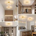 EIDISUNY Modern LED Ceiling Light, 30W Gold Ceiling Lights Fixture, Modern Ceiling Lights LED for Living Room Bedroom Corridor Aisle Hallway Balcony Garages Indoor Ceiling Lamp (Warm Light 3000K)