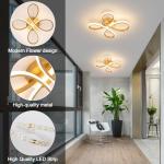 EIDISUNY Modern LED Ceiling Light, 30W Gold Ceiling Lights Fixture, Modern Ceiling Lights LED for Living Room Bedroom Corridor Aisle Hallway Balcony Garages Indoor Ceiling Lamp (Warm Light 3000K)