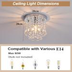 Dellemade Crystal Ceiling Lighting Fixture,Mini Flush Mount Ceiling Light, Modern Crystal Chandelier for Living Room,Kitchen, Hallway,Dining Room (Silver A)
