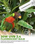 GlowUp UVB 2.4 Bird Cage Light Combo Kit, 20W UVB Bird Light Bulb, Deep U-Shaped Lamp Fixture with Compact Fluorescent Bulb E27 for Captive Birds, Reptiles