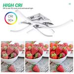 TYCOLIT LED Ceiling Light, Elegant Curved Design Ceiling Lights, 4 Built-in LED Boards, 24W 2400 Lumen, Cold Light 6500K, Modern Ceiling Fixture for Living Rooms, Bedrooms and Corridor