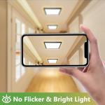zemty 22CM Black LED Ceiling Lights, 3000K/4000K/6500K Waterproof Bathroom Light, 18W 1950LM Modern Square Flush Ceiling Lighting Fixture for Kitchen Hallway Bedroom Porch Toilet